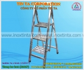 Stainless steel ladder to climb